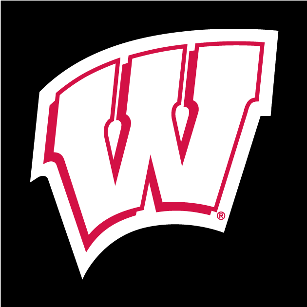 Wisconsin Badgers 1991-Pres Alternate Logo diy iron on heat transfer